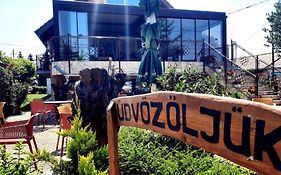 Airport Budapest Sarokhaz Panzio